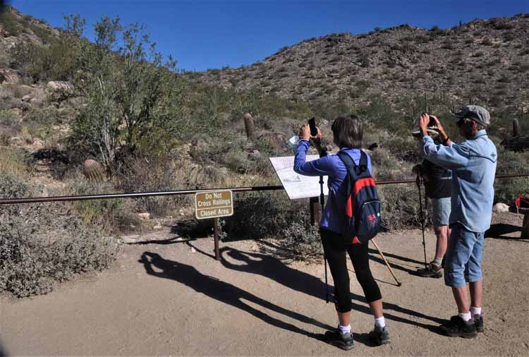 petroglyphs